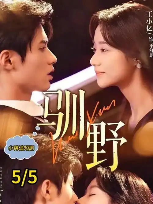 字幕与配音版本调整资讯配图